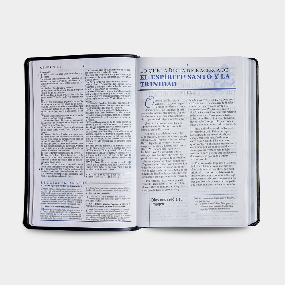 Biblia Principios de Vida (Cuero suave - Leathersoft)