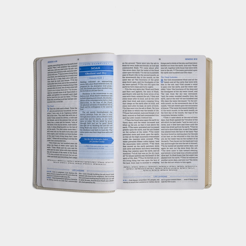 NASB Bible 2nd Edition