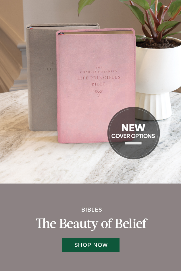 Bibles -- The Beauty of Belief