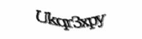 Security check image, please type the characters shown