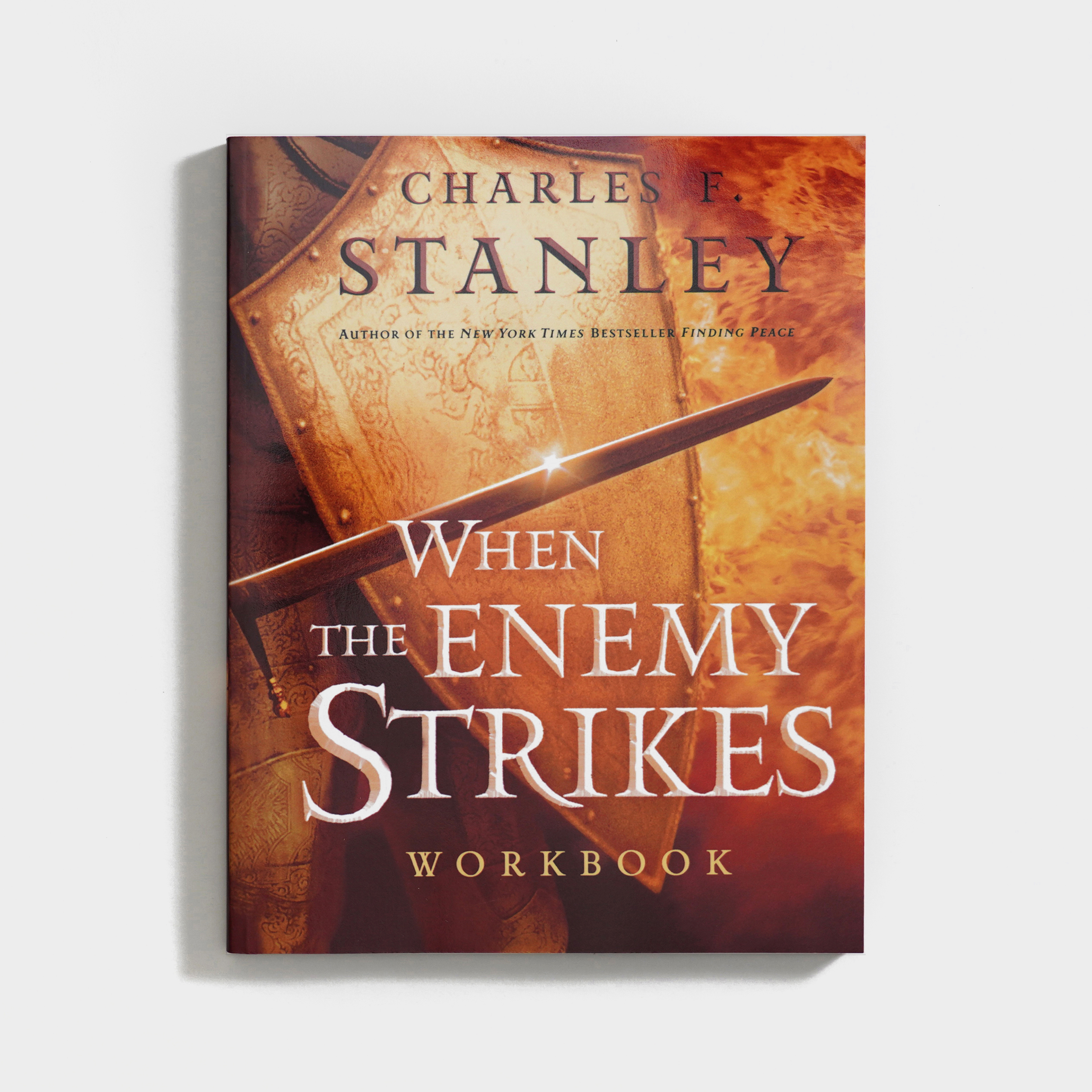 When the Enemy Strikes Workbook