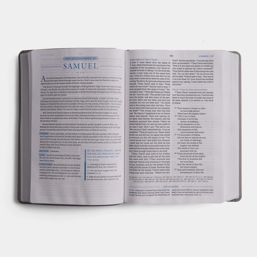 NASB Bible 2nd Edition (Comfort Print) Grey Beige
