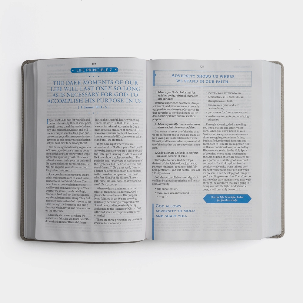 NASB Bible 2nd Edition (Comfort Print) Grey Beige